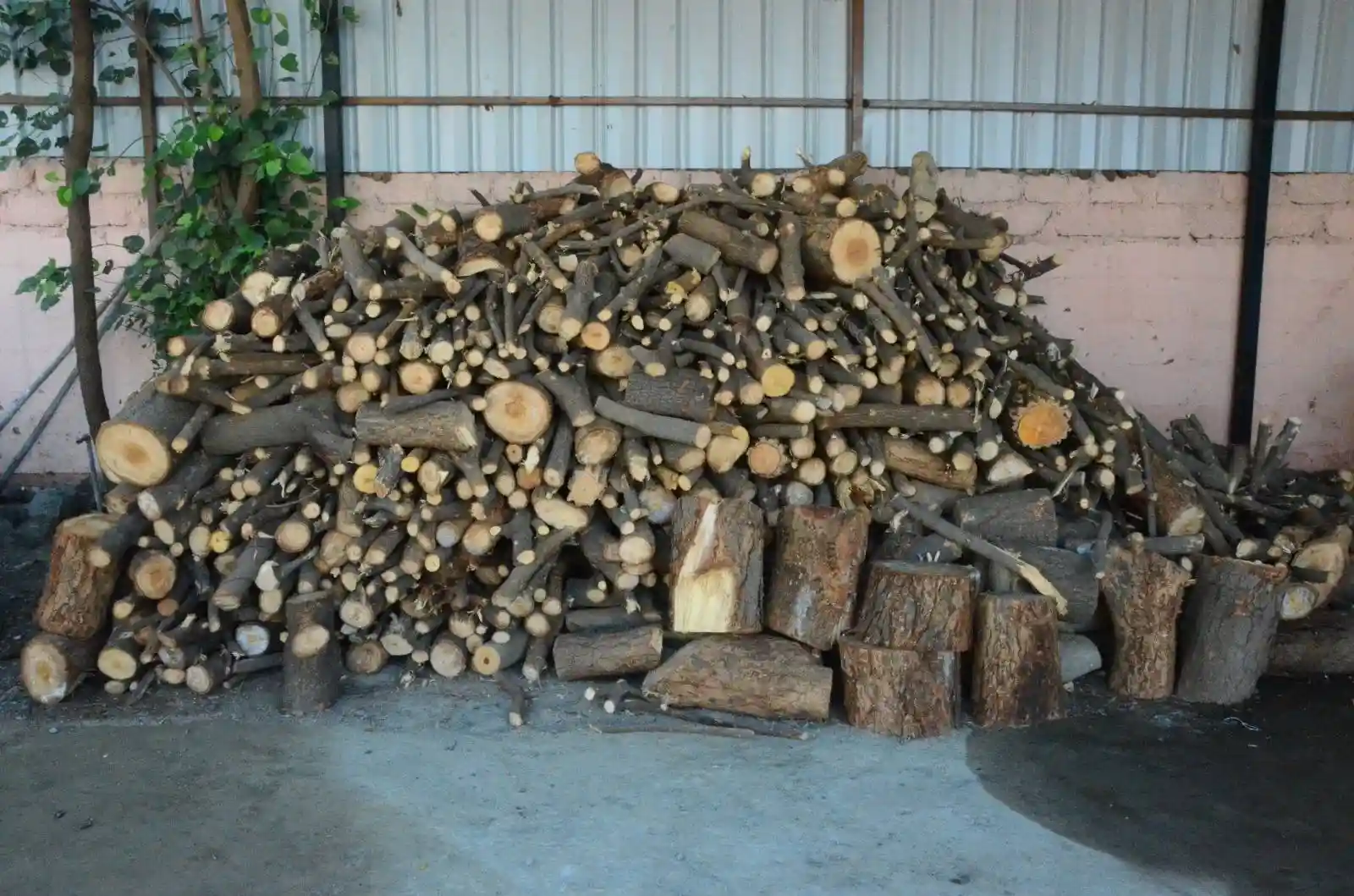 Sandalwood